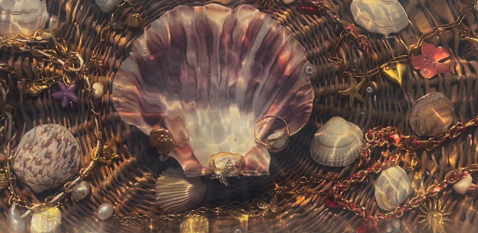 Bijoux en acier inoxydable plongés dans l'eau, à la plage avec des coquillages.